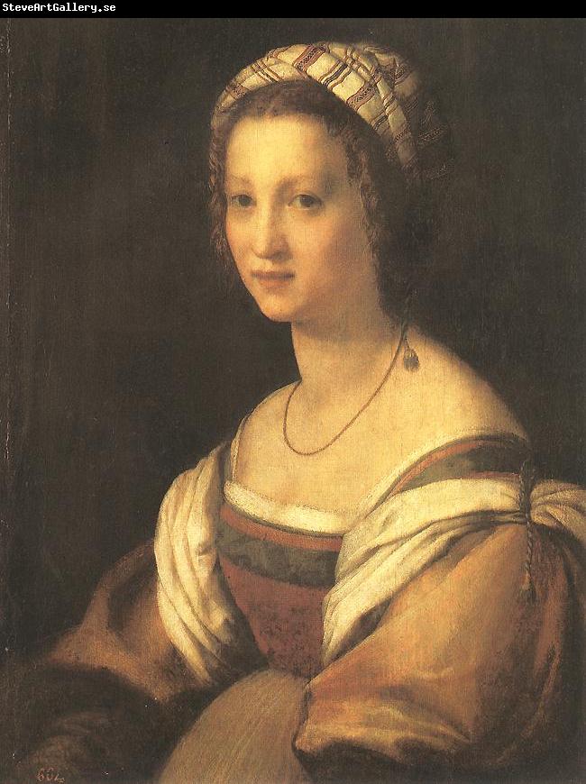 Andrea del Sarto Portrait of the Artist s Wife